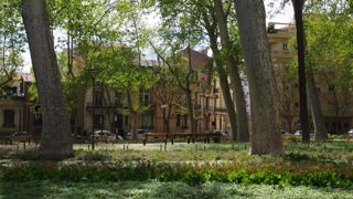 Le contexte environnemental, économique et réglementaire impose une réflexion sur la conception et la gestion des couverts enherbés, comme ici, dans le square Bir Hakeim de Perpignan, dans lequel certaines pelouses ont été remplacées par des couvres-sols vivaces. © Yaël Haddad Le contexte environnemental, économique et réglementaire impose une réflexion sur la conception et la gestion des couverts enherbés, comme ici, dans le square Bir Hakeim de Perpignan, dans lequel certaines pelouses ont été remplacées par des couvres-sols vivaces. © Yaël Haddad